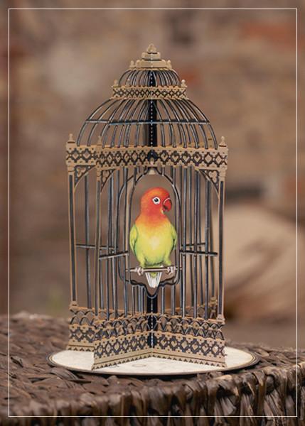 Birdcage - greeting card